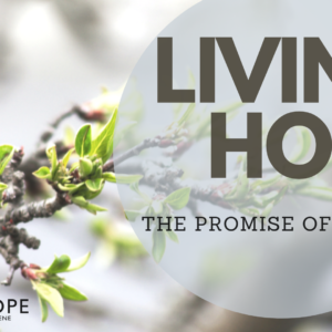 Living into our Easter Hope